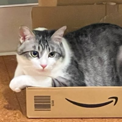 あやたかのアイコン